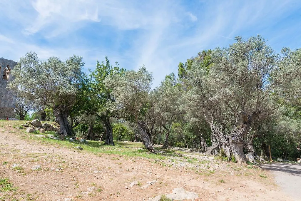 Sa Garriga De Can Barratot Selva  0*, Selva (Mallorca) Espanha